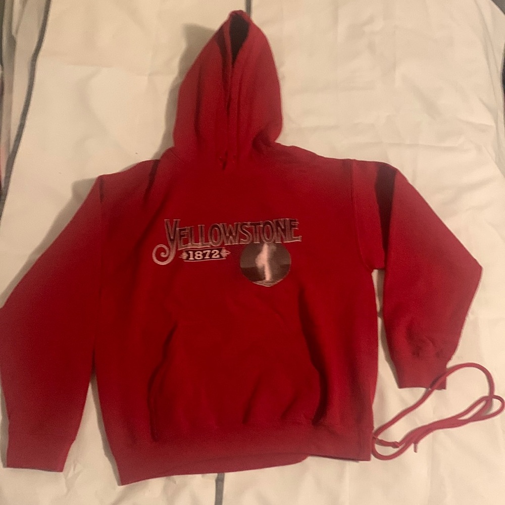 Vintage Hoodie: Yellowstone 1872